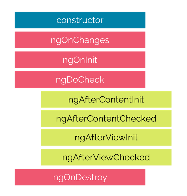 angular lifecycle